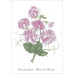 Série de 12 cartes postales « Fleurs »